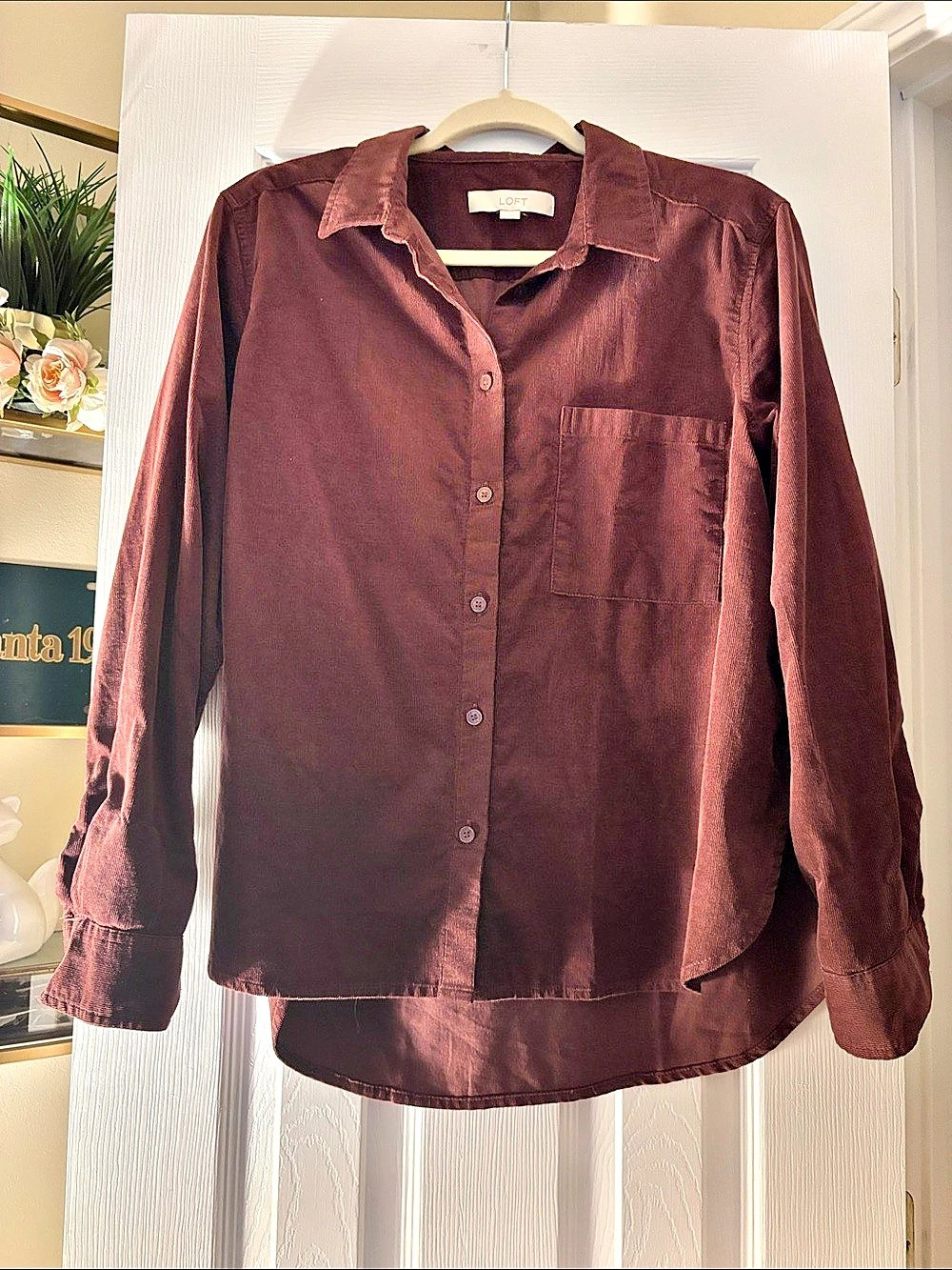 LOFT Button Down Shirt in Brown Size Medium Like New